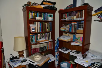 DSC_6914 (Large).JPG